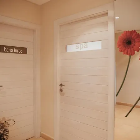 Casa San Miguel 乡村民宿 Salem